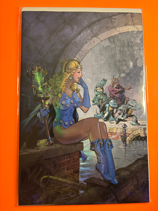 Teenage Mutant Ninja Turtles #20 Michael Dooney Virgin Variant NM