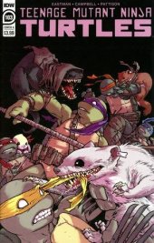 Teenage Mutant Ninja Turtles #103 IDW 2020 Jennika Cover Comic